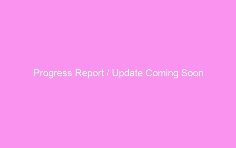 Progress Report / Update Coming Soon